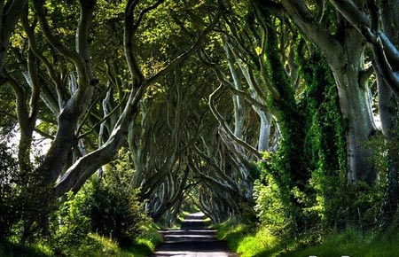 Những con đường tình yêu đẹp ngỡ ngàng trên thế giới - 8