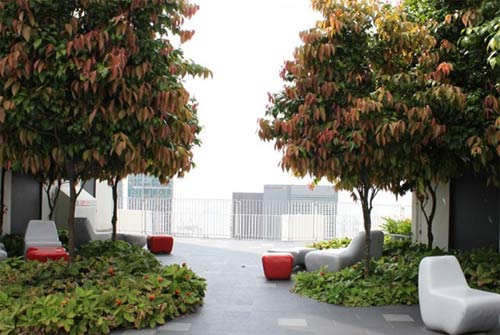 Thăm nhà xã hội “hoành tráng” Singapore - 9