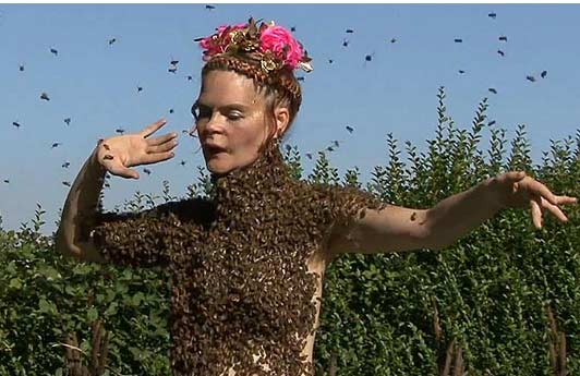 Cho 12.000 con ong đậu trên cơ thể - 1