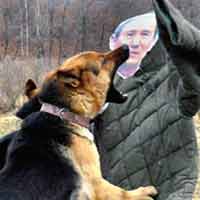 Triều Tiên tung clip chó cắn hình tướng HQ