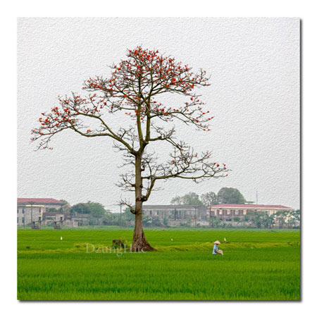 Kế hoạch dã ngoại lý tưởng cho 30/4 và 1/5 - 6