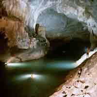 Tin tức trong ngày - Sự thật về vụ cắm 11 sổ đỏ Vườn Quốc gia