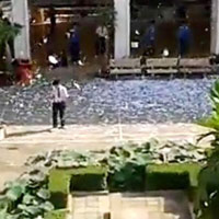 Giáo dục - du học - Sợ môn sử, đâu chỉ học sinh!