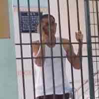 Tin tức trong ngày - Đang khỏe, bị bắt vào bệnh viện tâm thần