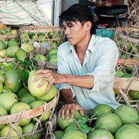 Thị trường - Tiêu dùng - Trái cây tăng giá từng ngày