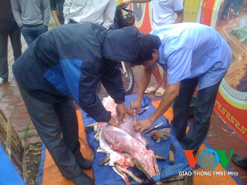 Xẻ thịt, bày bán cá sấu ngay trên vỉa hè - 5