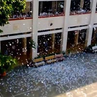 Tin tức trong ngày - Clip HS xé đề cương Sử: Đâu là sự thật?