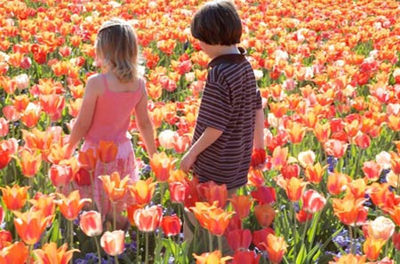 Mơ màng sắc hương lễ hội hoa Biltmore - 2