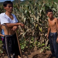 Tài chính - Bất động sản - “So găng” kinh tế Triều Tiên - Hàn Quốc