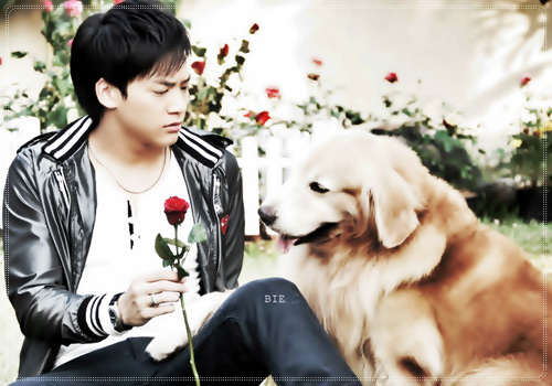 Tình yêu cải trang: Cũ vẫn hút - 4