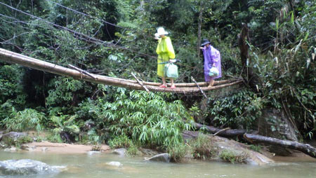 Heo hút lớp học Trường Sơn Đông - 3