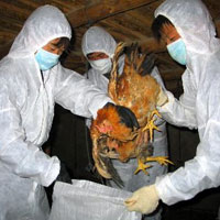 Đã có phác đồ điều trị cúm A/H7N9