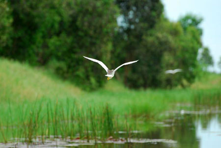 Chọn điểm đến thú vị cho kỳ nghỉ dài 30.4 - 2