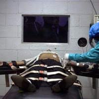 Tin tức trong ngày - Tử tù chờ... thuốc chết!