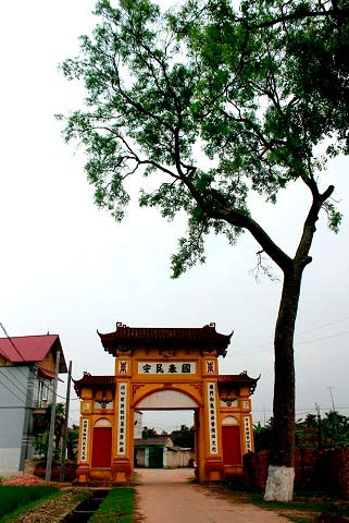 Độc đáo "làng vĩ cầm" duy nhất tại Việt Nam - 1