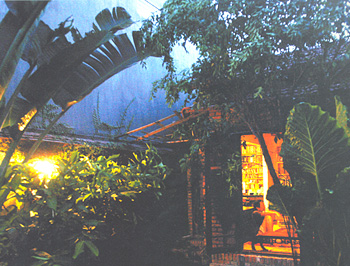 3 ngôi nhà đặc biệt của các nhạc sĩ Việt - 3