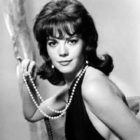 Pháp luật - Cái chết bí ẩn của ngôi sao Hollywood (Kỳ 2)