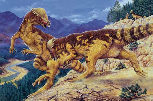 Khủng long đầu tròn. Loài khủng long này sở hữu một chiếc đầu khá tròn, trông như chiếc mũ bảo hiểm trong môn bóng bầu dục. Chúng thường xuyên dùng đầu làm vũ khí tấn công đối phương.