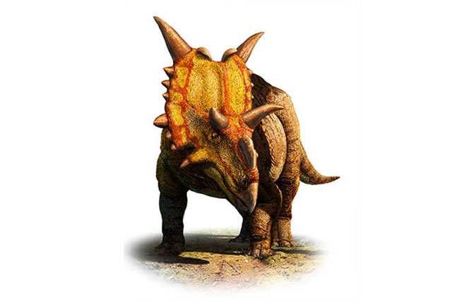 Khủng long sừng. Tên khoa học của loài này là Xenoceratops. Chúng nặng chừng 20 tấn. Điểm đặc trưng là loài này có nhiều gai nhọn trên đầu, 2 sừng ở trên trán và một \'tấm khiên\' bảo vệ xù xì vòng quanh cổ.