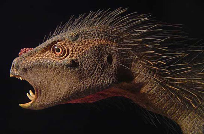Khủng long “rễ tre” . Pegomastax Africanus là loài khủng long có lông cứng và những chiếc răng nanh sắc nhọn. Với chiều dài 60cm, loài khủng long này không nặng bằng một con mèo nhà.
