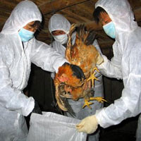 TQ: Ghi nhận thêm ca tử vong do cúm H7N9