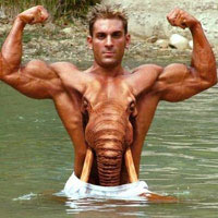 Tiểu phẩm hài - Lý do khiến tôi phải... trần "như nhộng"