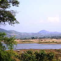 Tin tức trong ngày - Vàng và máu trên đường 7