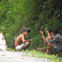 Tin tức trong ngày - Lâm tặc lại triệt hạ sưa ở Phong Nha-Kẻ Bàng