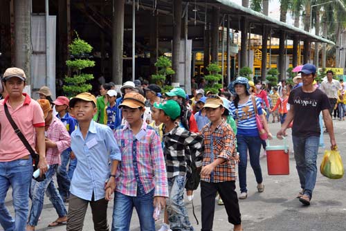 TPHCM: Tưng bừng lễ Giỗ Tổ Hùng Vương - 6