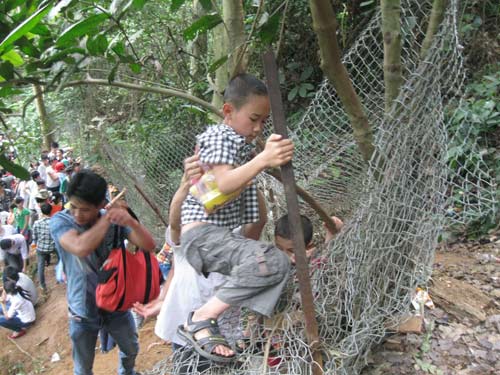 Xé rào, leo dốc dâng hương đền Hùng - 3