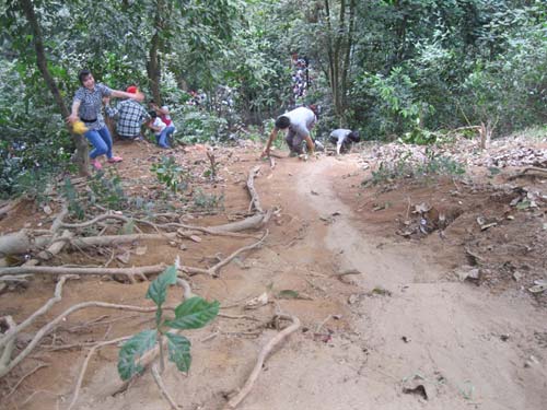 Xé rào, leo dốc dâng hương đền Hùng - 8