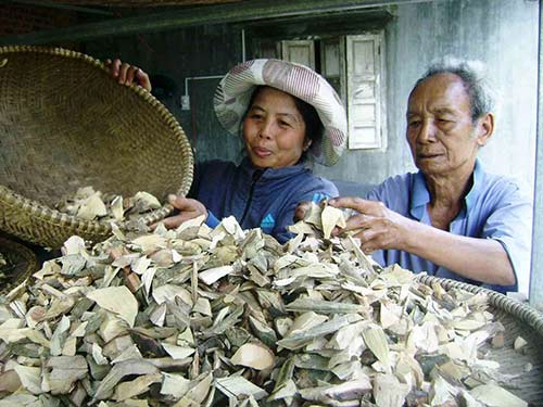 Vàng và máu: Bình yên sau dâu bể - 2