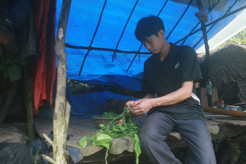 Kiếp đá đỏ: Sinh tồn ở rừng hoang - 3