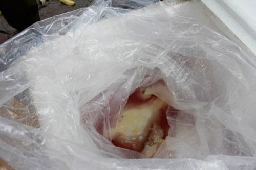Bắt giữ 1 tấn gà và nội tạng nghi từ TQ - 7