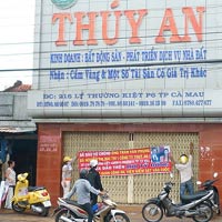 Tài chính - Bất động sản - Kiệt sức, doanh nghiệp án binh bất động