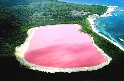 Đẹp ngỡ ngàng hồ hồng ở Úc - 1