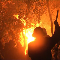 Tin tức trong ngày - Chữa cháy, một thiếu tá quân đội hy sinh