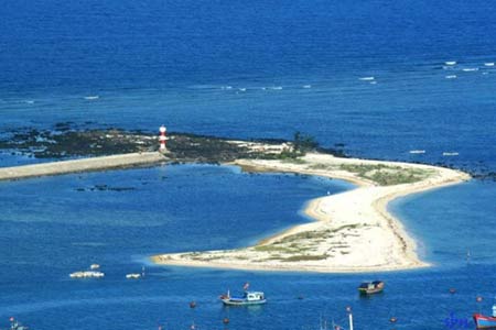 Hành trình thú vị về huyện đảo Lý Sơn - 7