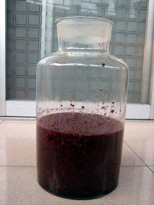 2 món ngon từ dâu tằm không thể bỏ qua - 3