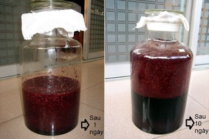 2 món ngon từ dâu tằm không thể bỏ qua - 4