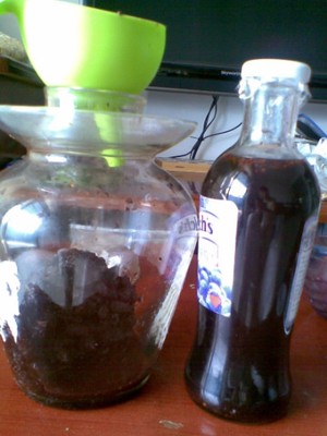 2 món ngon từ dâu tằm không thể bỏ qua - 5