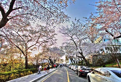 Những địa điểm hẹn hò lãng mạn nhất Seoul - 3