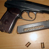 Pháp luật - Bắt TGĐ công ty gỗ mang súng đi máy bay