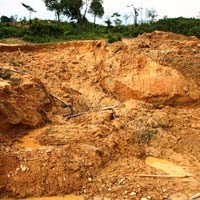 Tin tức trong ngày - Quảng Nam: Lại sập hầm, vùi chết một phu vàng