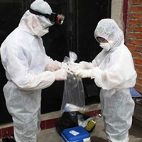 Cách nào chống dịch cúm A/H5N1?