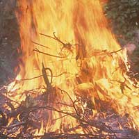 Tin tức trong ngày - Chile: Bé 3 ngày tuổi bị thiêu sống dã man