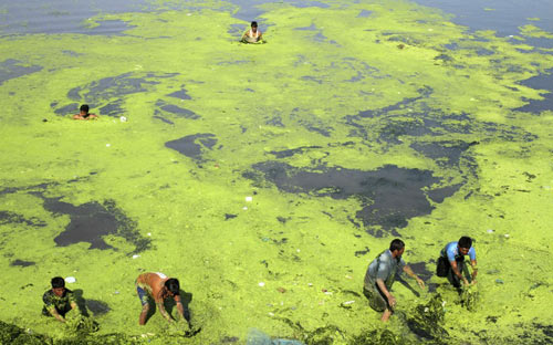 Những hình ảnh ấn tượng nhất tuần (21/4-27/4) - 2