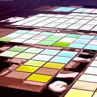 Du lịch - Chiêm ngưỡng đồng muối đẹp như tiên cảnh