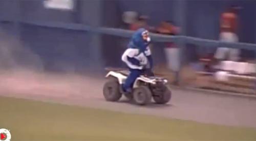 Top clip hài: Chó chở gà đi bán - 4