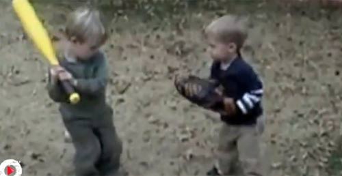 Top clip hài: Chó chở gà đi bán - 5